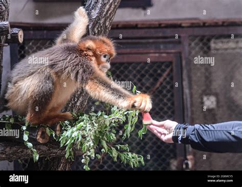 瀋陽動物園在哪裏：探秘中國遼寧的這座知名動物之家